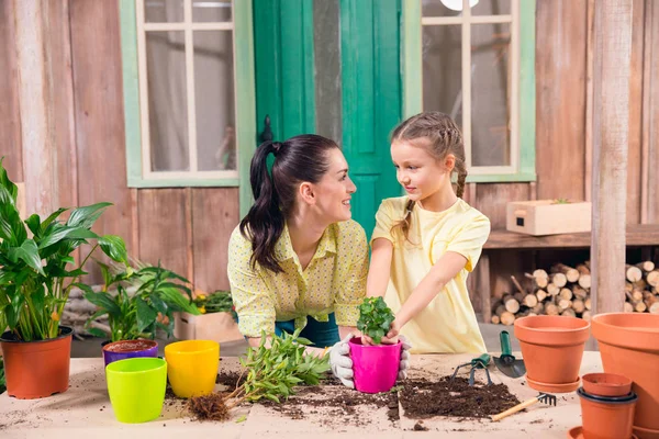 Mère et fille avec des plantes et des pots de fleurs debout à table sur le porche — Photo