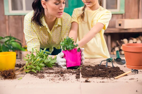 Mother and daughter with plants and flowerpots standing at table on porch — Stock Photo, Image