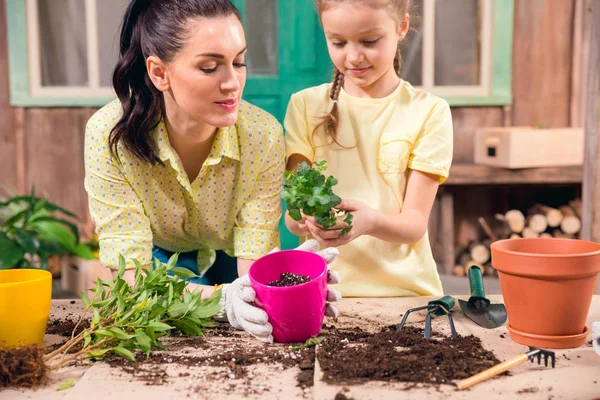 Mãe e filha com plantas e vasos de flores em pé à mesa na varanda — Fotografia de Stock