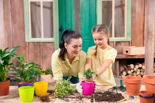 Mère et fille avec des plantes et des pots de fleurs debout à table sur le porche — Photo