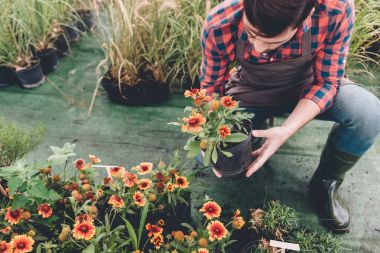 gardener checking flower in garden clipart