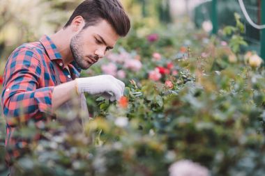 gardener checking plants during work clipart