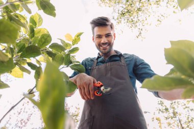 gardener with pruning shears cutting plant clipart