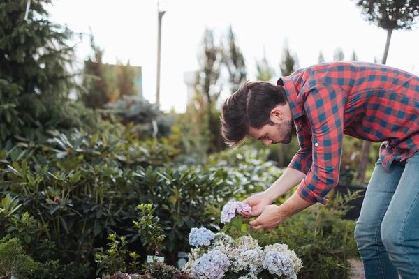 Jardinier vérifier les fleurs dans le jardin — Photo