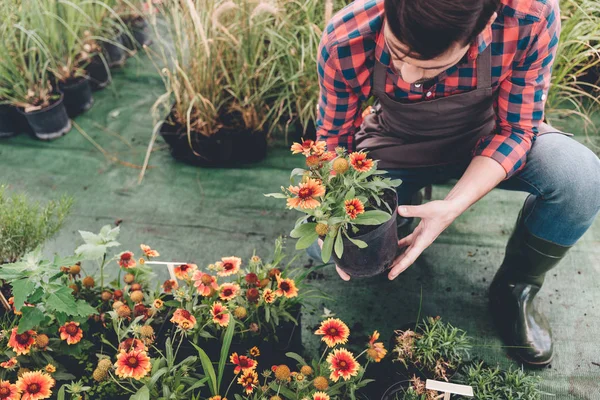 Jardinero comprobar flor en jardín — Foto de Stock