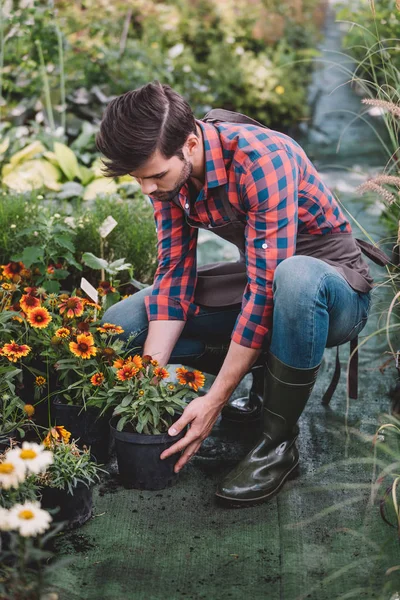 Jardinero trabajando en el jardín — Foto de Stock