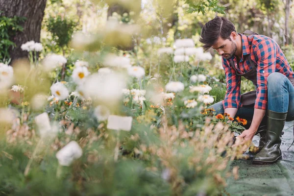 Jardineiro trabalhando no jardim — Fotografia de Stock