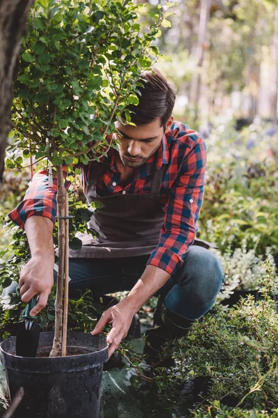 Junge Gärtnerin arbeitet im Garten — Stockfoto
