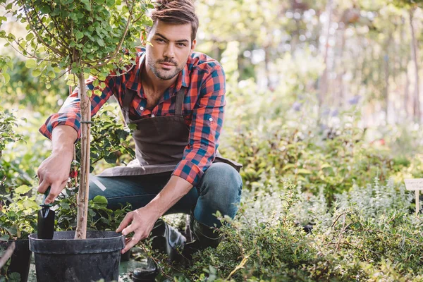 Ung trädgårdsmästare arbetar i trädgården — Stockfoto