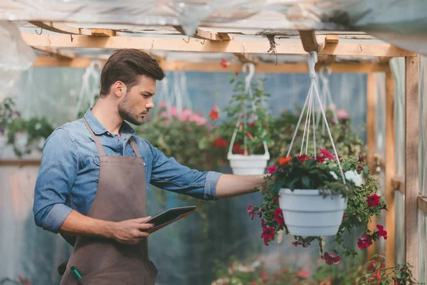 Gardener in apron with tablet — Stock Photo, Image