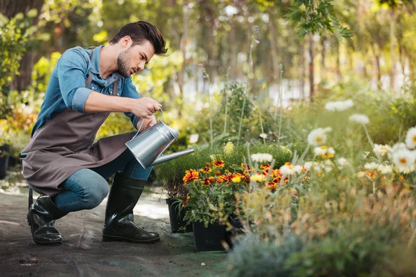 Gardener watering plants — Stock Photo, Image