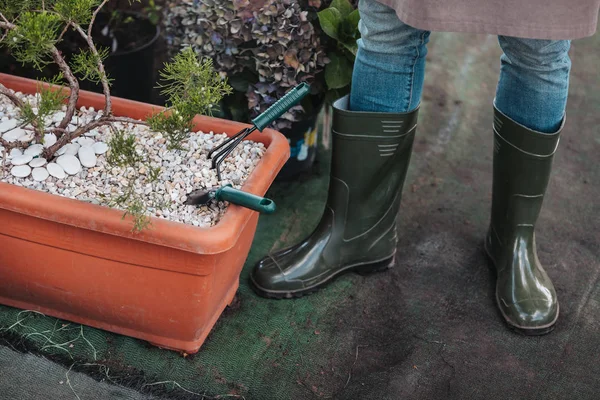 Jardineiro em botas de borracha perto de plantas — Fotografia de Stock
