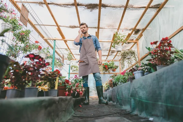 Садовник разговаривает на смартфоне в теплице — стоковое фото