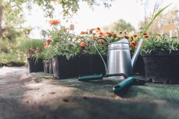 watering can, hand trowel and rake in garden