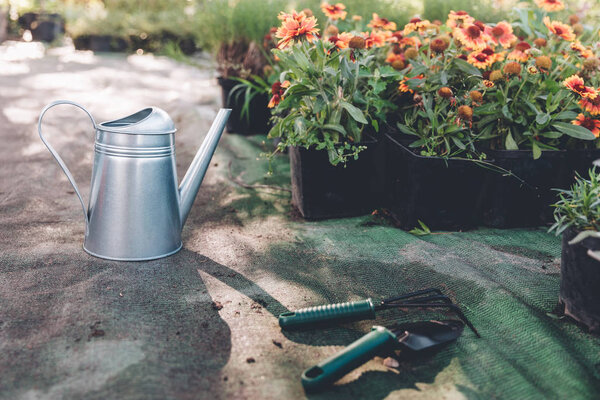 watering can, hand trowel and rake in garden