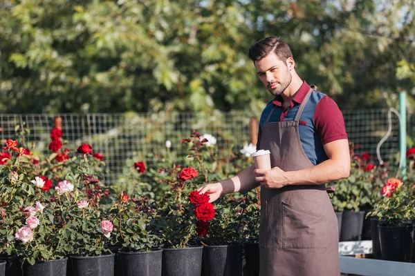 Tuinman met koffie te gaan in de tuin — Stockfoto