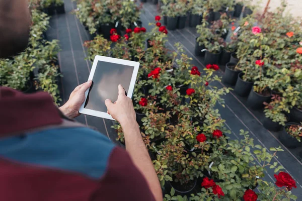 Садівник використовує цифровий планшет — стокове фото