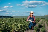 mezőgazdasági termelő dolgozik, digitális tabletta