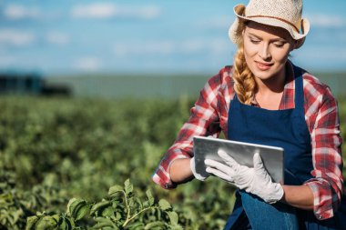 farmer working with digital tablet clipart