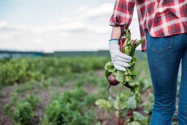 farmer holding beets in field clipart