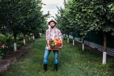 farmer holding basket with vegetables clipart