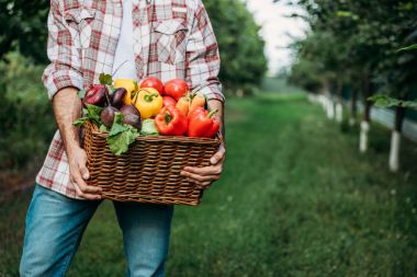 farmer holding basket with vegetables clipart