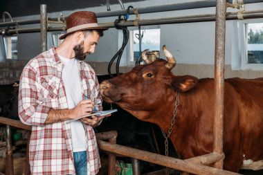 farmer taking notes in cowshed clipart