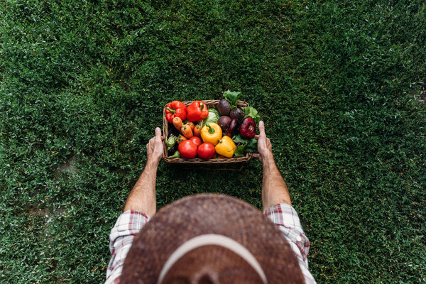 farmer holding basket with vegetables