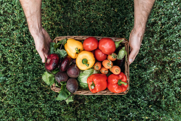 farmer holding basket with vegetables