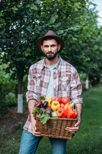 Mezőgazdasági termelő gazdaság kosár zöldségekkel — Stock Fotó