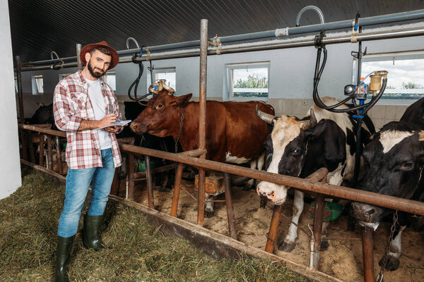 farmer taking notes in cowshed