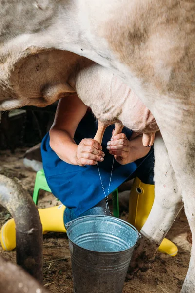 Boer melken koe — Stockfoto