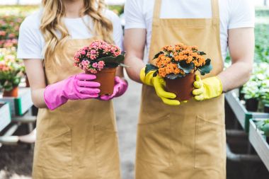 Couple of gardeners in gloves holding pots with flowers clipart