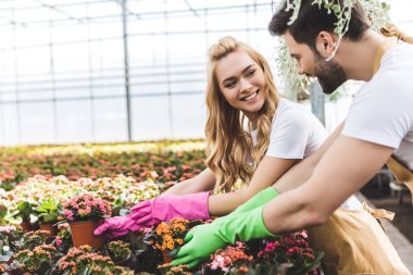Young male and female gardeners arranging pots with flowers clipart