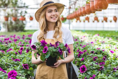 Young female gardener holding pot with flowers in glasshouse clipart