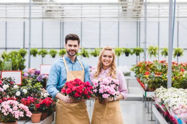 Young male and female gardeners holding pots with azalea flowers clipart