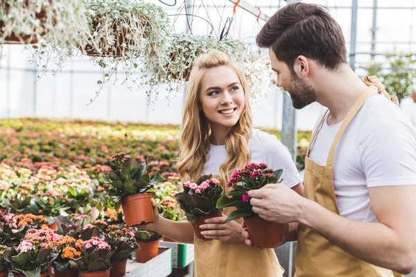 Jardineros Sonrientes Sosteniendo Macetas Con Flores Invernadero —  Fotos de Stock