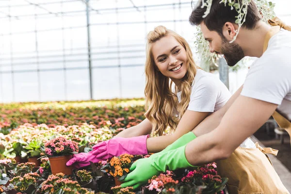 Giovani Giardinieri Maschi Femmine Che Dispongono Vasi Con Fiori — Foto Stock