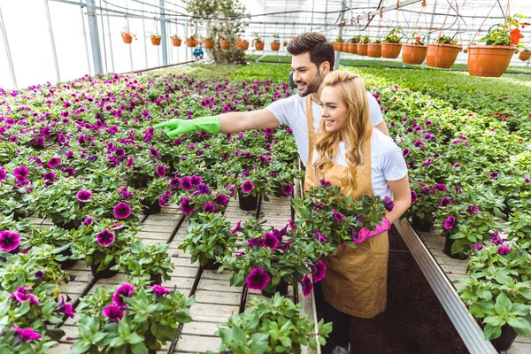 Couple Gardeners Arranging Pots Flowers Greenhouse — Stock Photo, Image