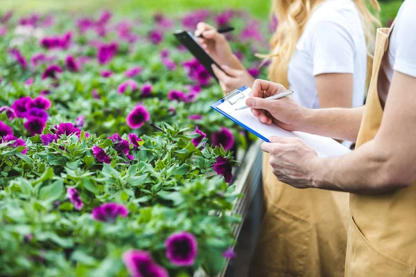 Close View Owners Greenhouse Clipboards Filling Orders — Stock Photo, Image