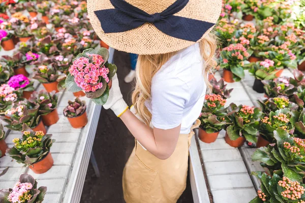 Close View Purple Flowers Hand Female Gardener — Stock Photo, Image