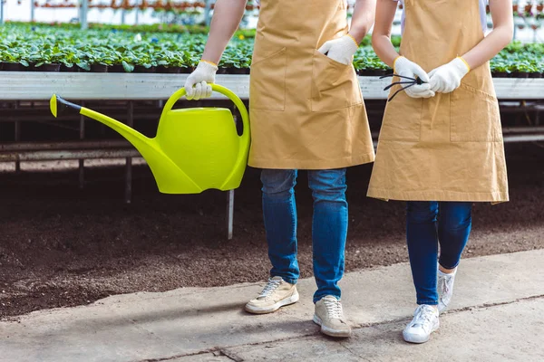 온실에서 정원사의 클로즈업 — 무료 스톡 포토