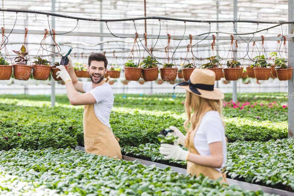 Gardeners wearing protective gloves and planting flowers in glasshouse