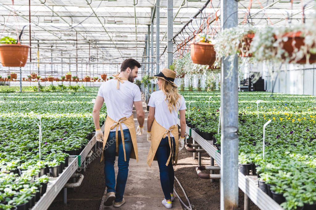 Man and woman gardeners walking among flowers in greenhouse