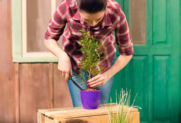 Молодой садовник в клетчатой рубашке культивируется растение в горшке на крыльце — стоковое фото