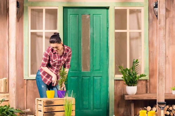 Mujer joven sonriente cultivada planta en maceta mientras está de pie en el porche - foto de stock