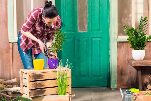 Brunette jeune femme cultivé plante en pot tout en se tenant sur le porche — Photo de stock