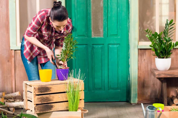 Morena joven mujer cultivada planta en maceta, mientras que de pie en el porche - foto de stock