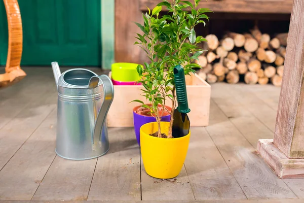 Close-up view of potted plant and watering can on porch — Stock Photo