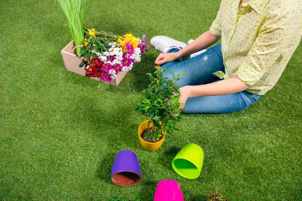 Vista recortada del jardinero con plantas y macetas sentadas en la hierba - foto de stock